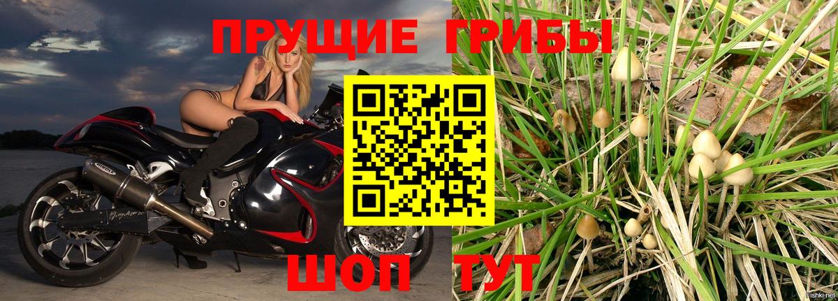 Галлюциногенные грибы GOLDEN TEACHER Надым